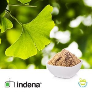 Soapnut Extract 50% Saponin by SanHerb