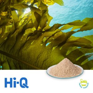 Organic Apple Cider Vinegar by Herb Green Health